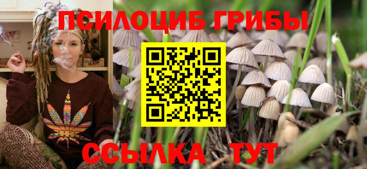 Галлюциногенные грибы прущие грибы Переславль-Залесский